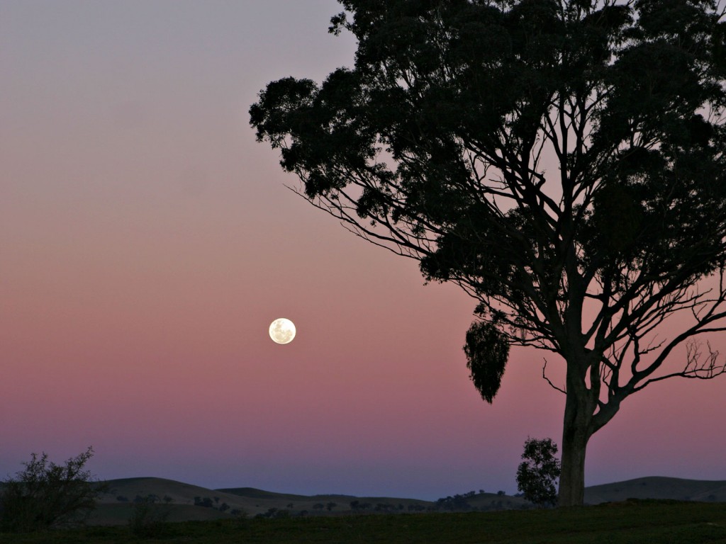 »Moon and red blue haze«. Lizenziert unter GFDL 1.2 über Wikimedia Commons.